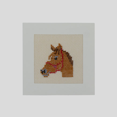 Bigliettino Cavallo